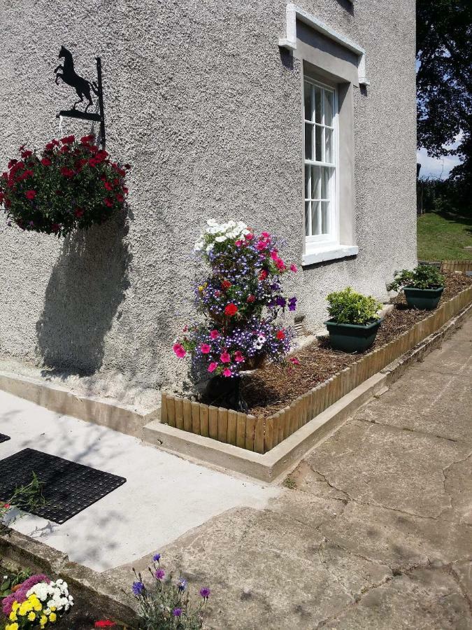 Roosecote Guest House Barrow-in-Furness Dış mekan fotoğraf